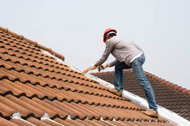 Best Sheet Metal Roofing  in , MO