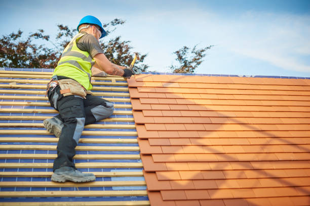 Best Asphalt Shingle Roofing  in , MO